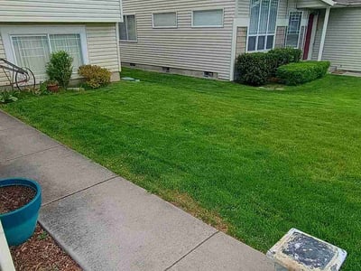 Lawn Care service in Cheney, 99004