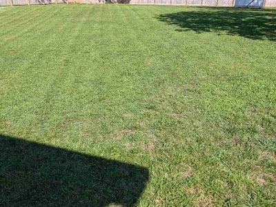 Lawn Care service in Jackson, 38301