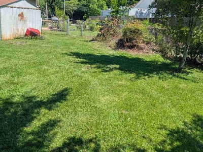 Lawn Care service in New Bern, 28560