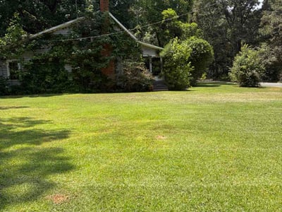 Lawn Care service in Somerville, 02143