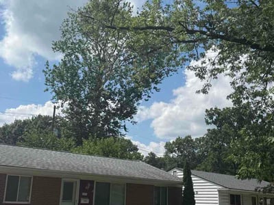 Lawn Care service in Madison Heights, 48071