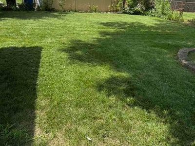 Lawn Care service in Madison Heights, 48071