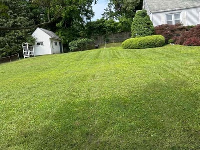 Lawn Care service in Silver Spring, 20910