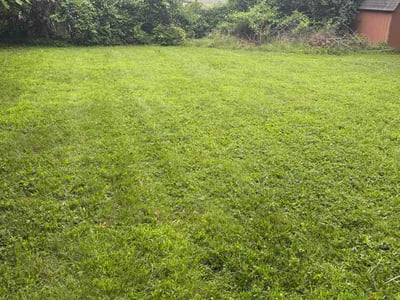 Lawn Care service in Napa, 94559
