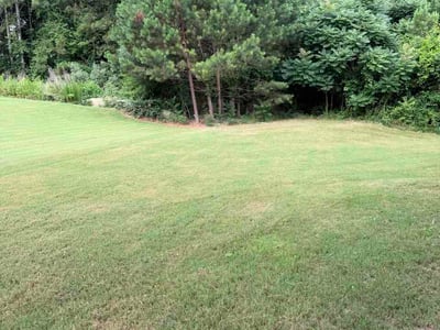 Lawn Care service in Napa, 94559