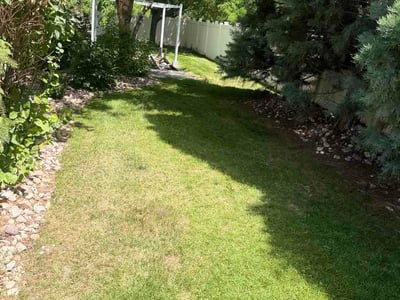 Lawn Care service in Sandy, 84092