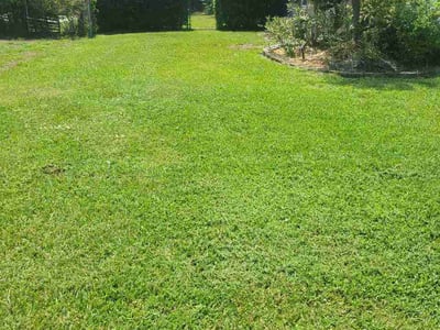 Lawn Care service in Sebring, 33870