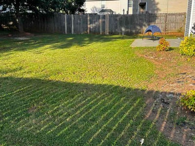 Lawn Care service in Corbin, 40701