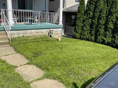 Lawn Care service in Bridgeville, 15017