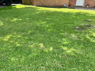Lawn Care service in Lynn, 01902