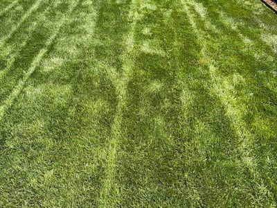Lawn Care service in San Jacinto, 92583