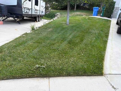 Lawn Care service in Riverton, 84065