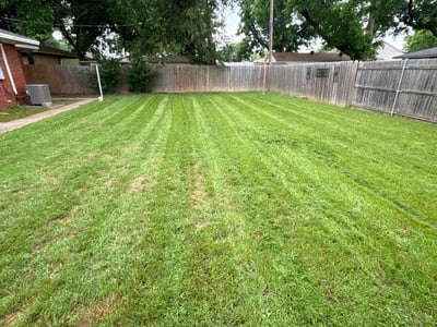Lawn Care service in Manteca, 95336