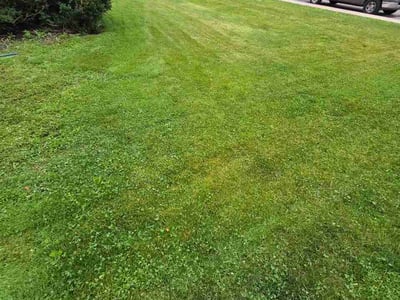 Lawn Care service in South Lake Tahoe, 96150