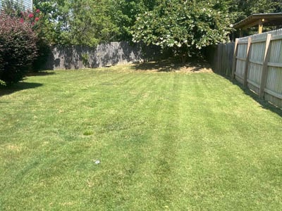 Lawn Care service in Lexington, 02420