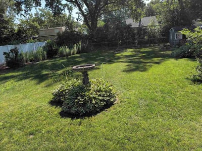 Lawn Care service in Farmington, 55024