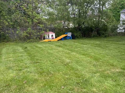 Lawn Care service in Dorchester, 02122