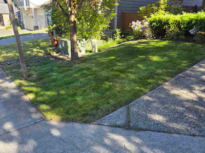 Lawn Care service in Kenmore, 98028