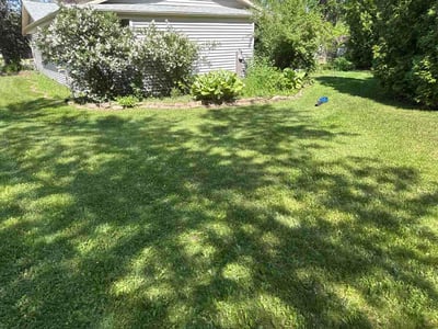 Lawn Care service in Franklin, 53132