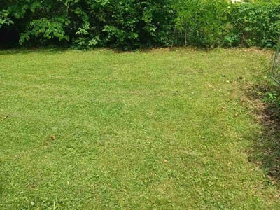 Lawn Care service in Norwalk, 06851