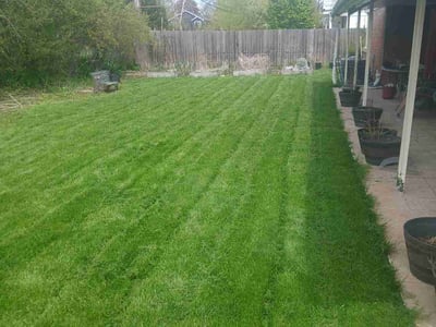 Lawn Care service in Greendale, 53129