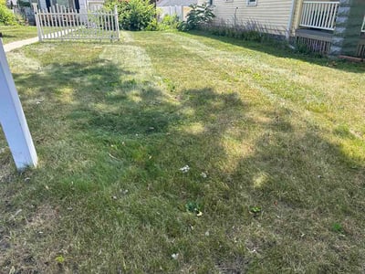 Lawn Care service in West Allis, 53214