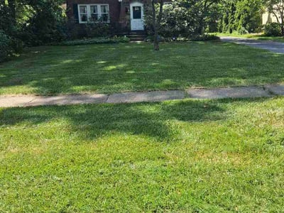 Lawn Care service in Jamestown, 14701
