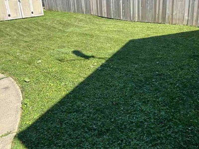 Lawn Care service in West Allis, 53214