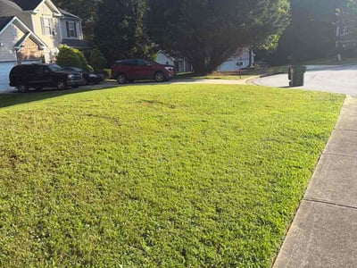Lawn Care service in London, 40741
