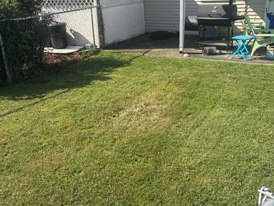 Lawn Care service in Phillipsburg, 08865