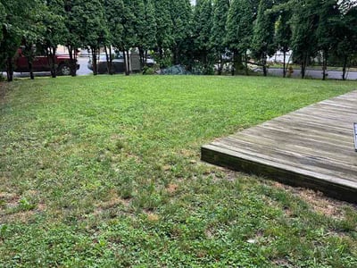 Lawn Care service in Phillipsburg, 08865