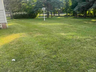 Lawn Care service in Phillipsburg, 08865