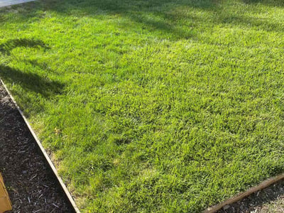 Lawn Care service in Oregon City, 97045
