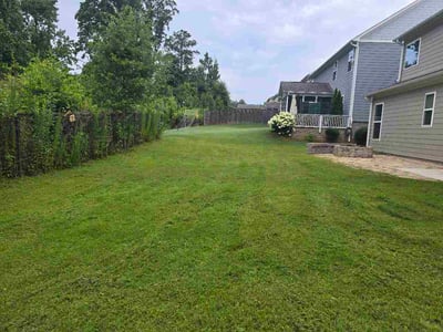 Lawn Care service in Flowery Branch, 30542