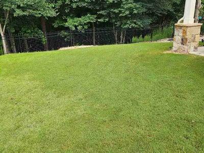Lawn Care service in Flowery Branch, 30542
