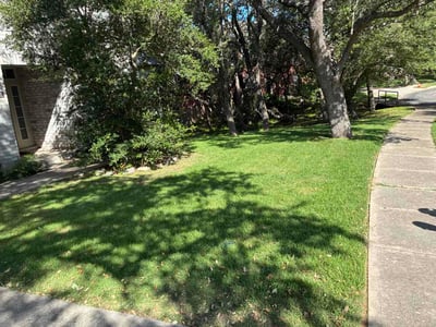 Lawn Care service in Selma, 78154