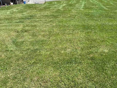 Lawn Care service in West Mifflin, 15122