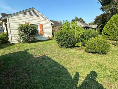 Lawn Care service in York, 03909