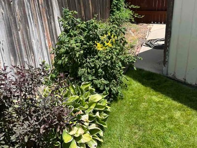 Lawn Care service in Bountiful, 84010