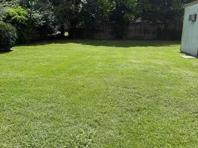 Lawn Care service in Sherman, 75090
