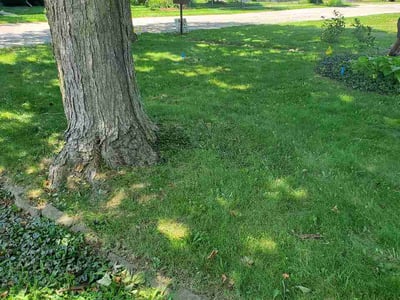 Lawn Care service in Goshen, 46526