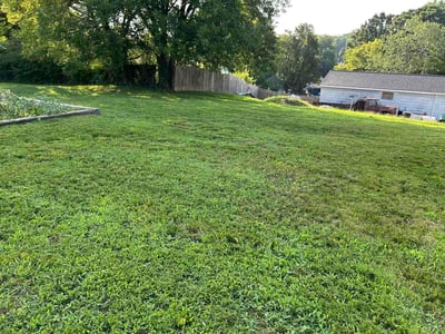 Lawn Care service in Burlington, 27215
