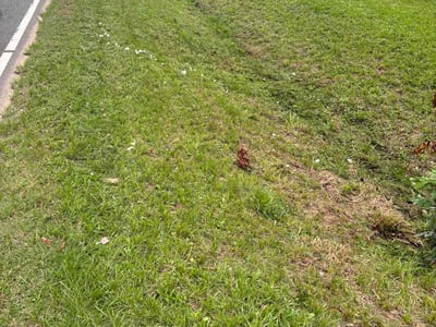 Lawn Care service in Bangor, 04401