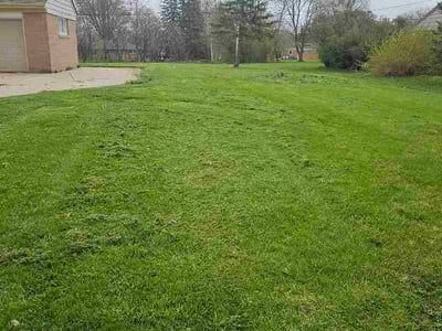 Lawn Care service in Brookfield, 53005
