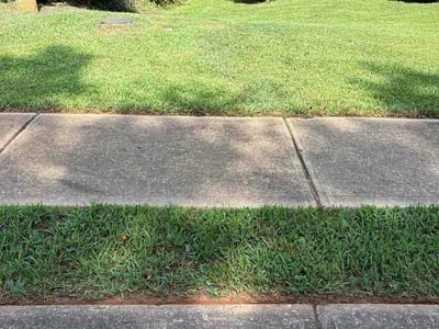 Lawn Care service in West Covina, 91790