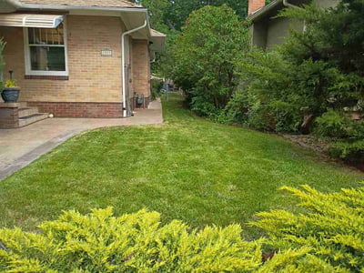 Lawn Care service in Monument, 80132