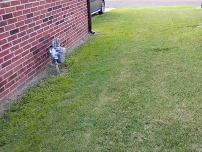Lawn Care service in Edmonds, 98020