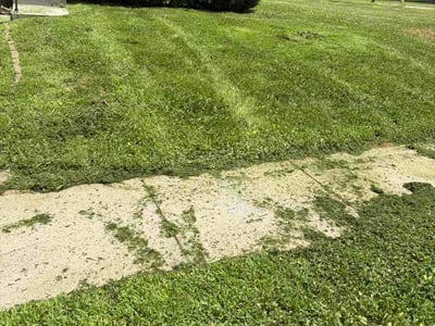 Lawn Care service in Billings, 59101