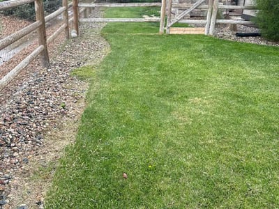 Lawn Care service in Stamford, 06901