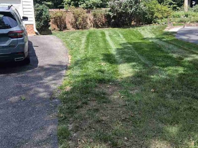 Lawn Care service in Woodford, 22580